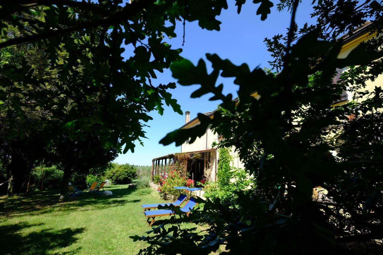 Casa Monteluro - B&B Tavullia Kültér fotó